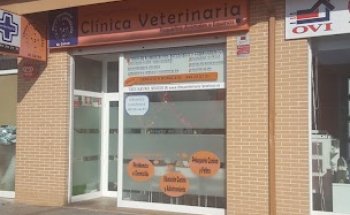 Clinica Veterinaria El Casar - 