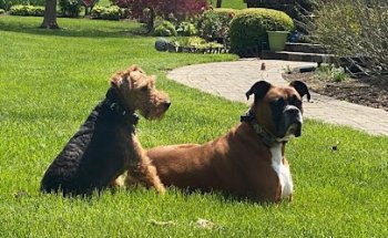 Centro veterinario El Coto El Casar