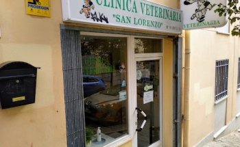 Clínica Veterinaria San Lorenzo