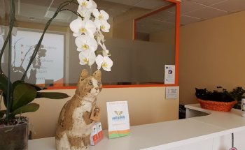 Clínica Veterinaria La Plaza