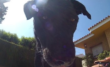 Centro Veterinario Loreto