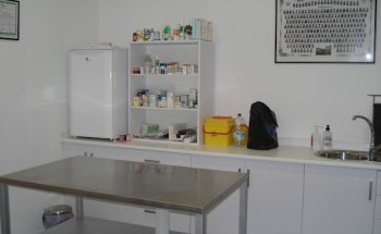 Centro Veterinario La Avenida