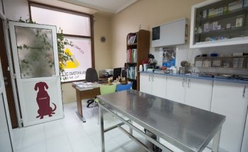 Clínica Veterinaria San Antonio