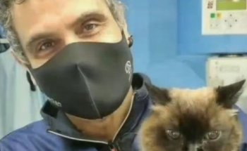 Clínica Veterinaria Yarza