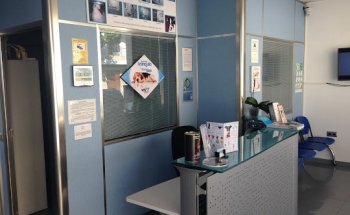 Clínica Veterinaria Formentera