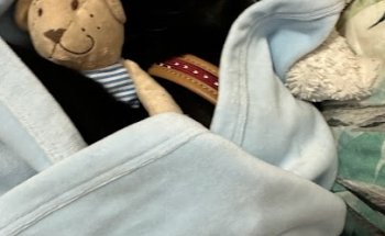 Consultorio Veterinario Fortuna