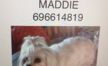 Clinica Veterinaria Zoopark Fortuna