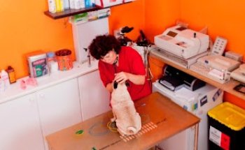 Centro Veterinario Ramon i Cajal
