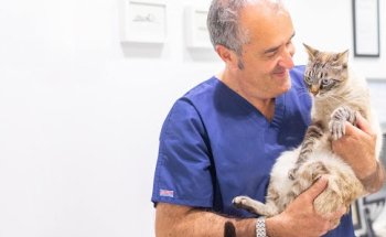 Clínica Veterinària Marcel Gustà