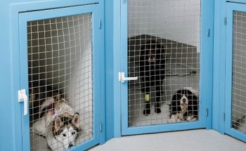 Hospital Veterinario Tres Cantos