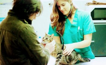 Centro Veterinario Eurocan Guadarrama