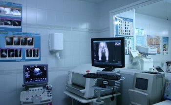 Clínica Veterinaria Guadarrama