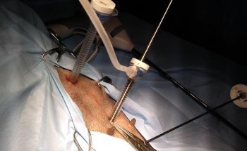 Laparoscopia veterinaria VETLAP