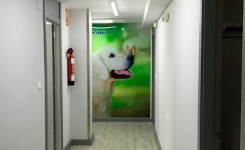 Hospital Veterinario Guardamar 24h Veterpet