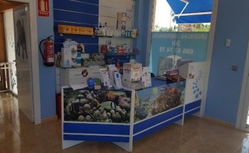 CLINICA VETERINARIA LAGOMAR (EL RASO)