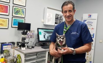 Centro Veterinario Victor de la Serna - Dres. Alvarez de la Villa