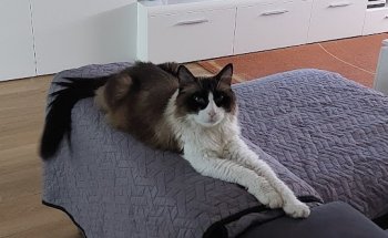 Centro Veterinario Parque Norte SL