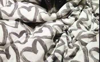 DOCTORES ALVAREZ DE LA VILLA S.L.