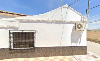 Dimavet Granada S L