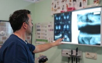 Clinica Veterinaria Melide