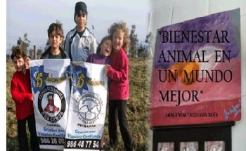 Centro Veterinario Val Da Louriña SL