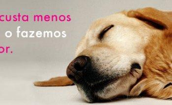 Lovet - Clínica Veterinária