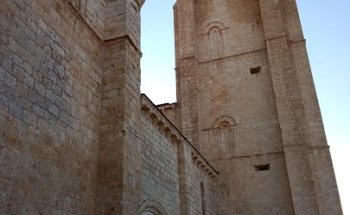 Clinica Veterinaria Nerta