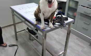 Medivet Eurocan Campello