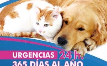 Clínica Veterinaria Calderón