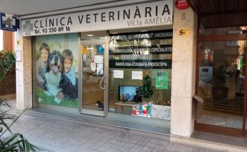 Clínica Veterinària Vil·la Amèlia