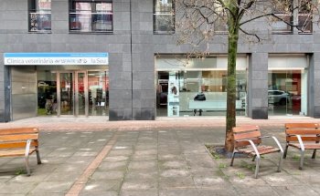 ACE La Seu Clínica Veterinaria