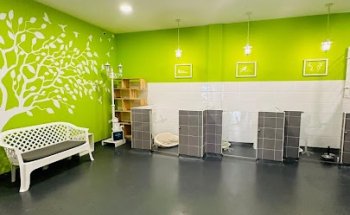 Clínica veterinaria La Bañeza