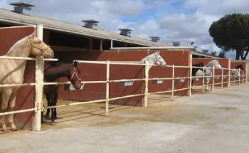 Clinica Equina Olmedo