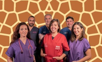 Veterinaria y Tienda Animals