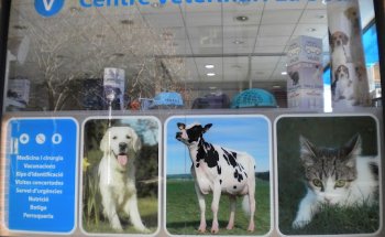 Centre Veterinari La Seu S L P