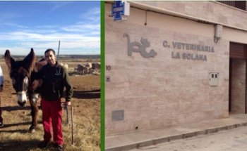 Clínica Veterinaria La Solana