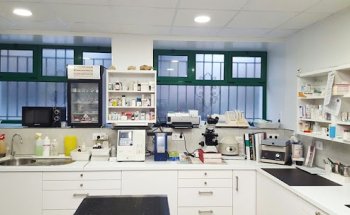 Clínica Veterinaria MaestroVeterinarios