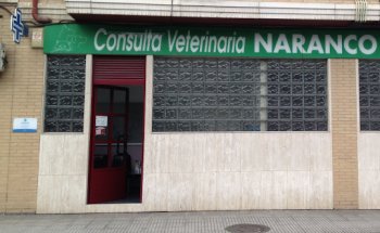 María Naranco González Martínez