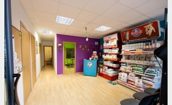 PATRICIA ALVAREZ VETERINARIA