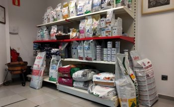 Clínica Veterinaria Alejandro Álvarez Roces