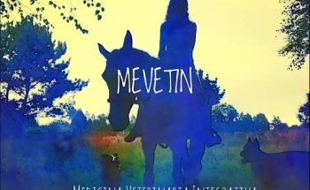 Mevetin