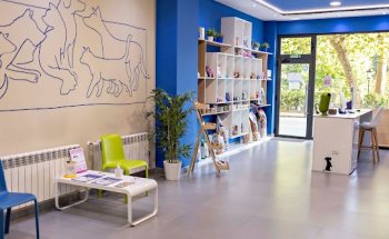 Clinica Veterinaria Kerry Blue