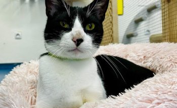 Centro Veterinario Los Campos