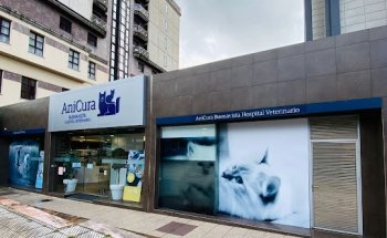 AniCura Buenavista Hospital Veterinario