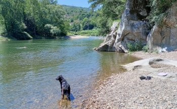 Clínica Veterinaria Vetusta