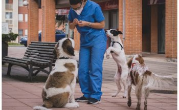 Armando Solis, La Fresneda Veterinarios