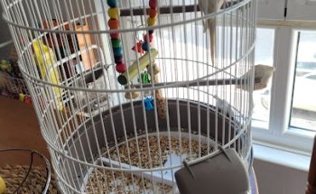 Clínica Veterinaria San Francisco