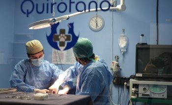 CENTRO VETERINARIO SELCÁN Oviedo