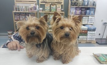 Clínica Veterinaria Vet Family Benetusser