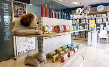 Centro Veterinario Catdog Tomares